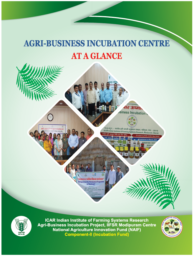 AGRI-BUSINESS INCUBATION CENTRE AT A GLANCE